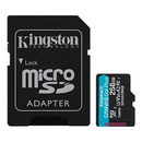 Kingston Canvas GO Plus Micro SDXC Card, Class 10 UHS-I 256Gb